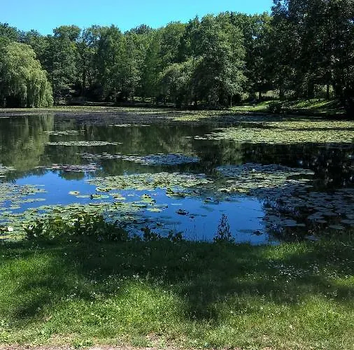 Ferien Apartment Auf Der Weissmark